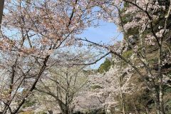 IMG_7487