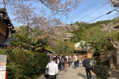 4866191525902619375.10b496bee6936ace7bd3e47e69feaaf5.23033015