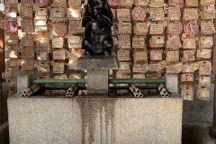 IMG_7484