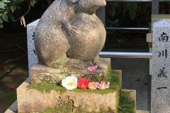 IMG_7490