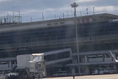 IMG_8082
