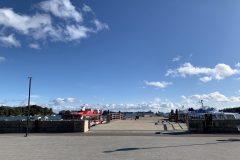 IMG_8113