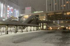 IMG_8122