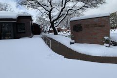 IMG_8132
