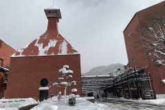 IMG_8134